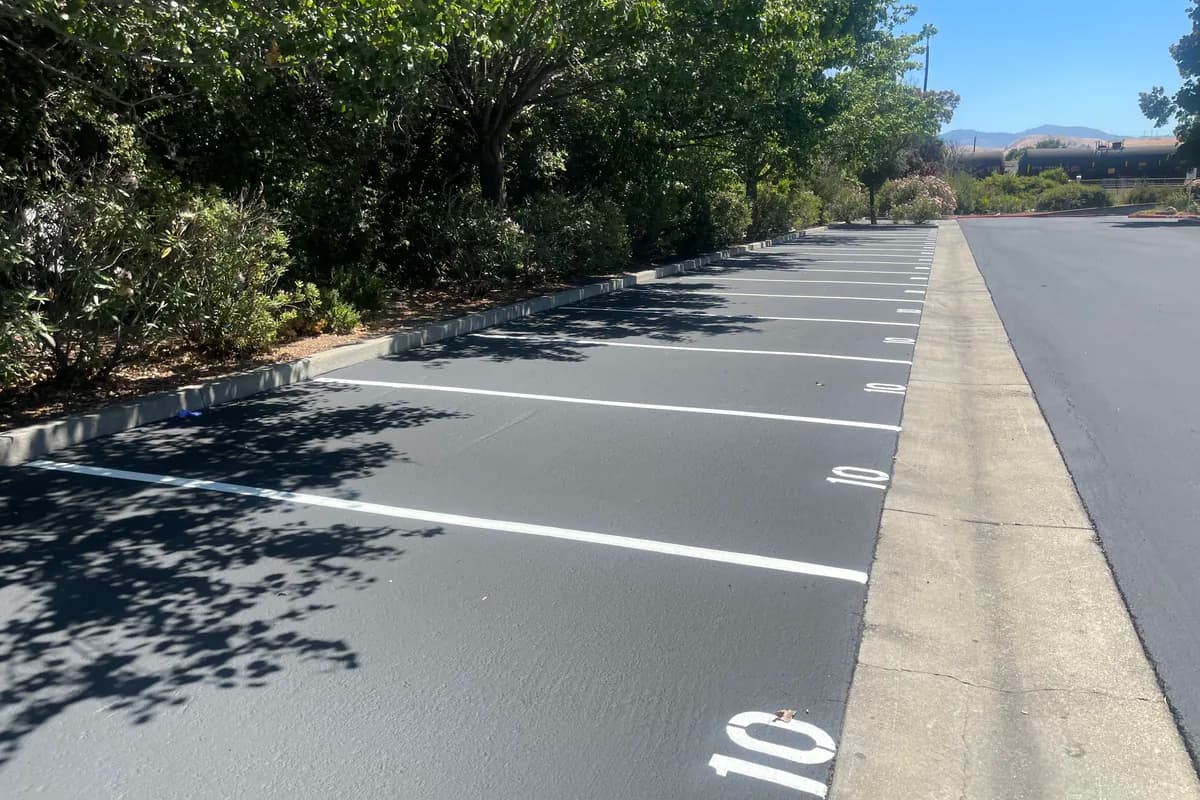 Freshly painted white parking stall lines and numbers on newly sealed dark asphalt.