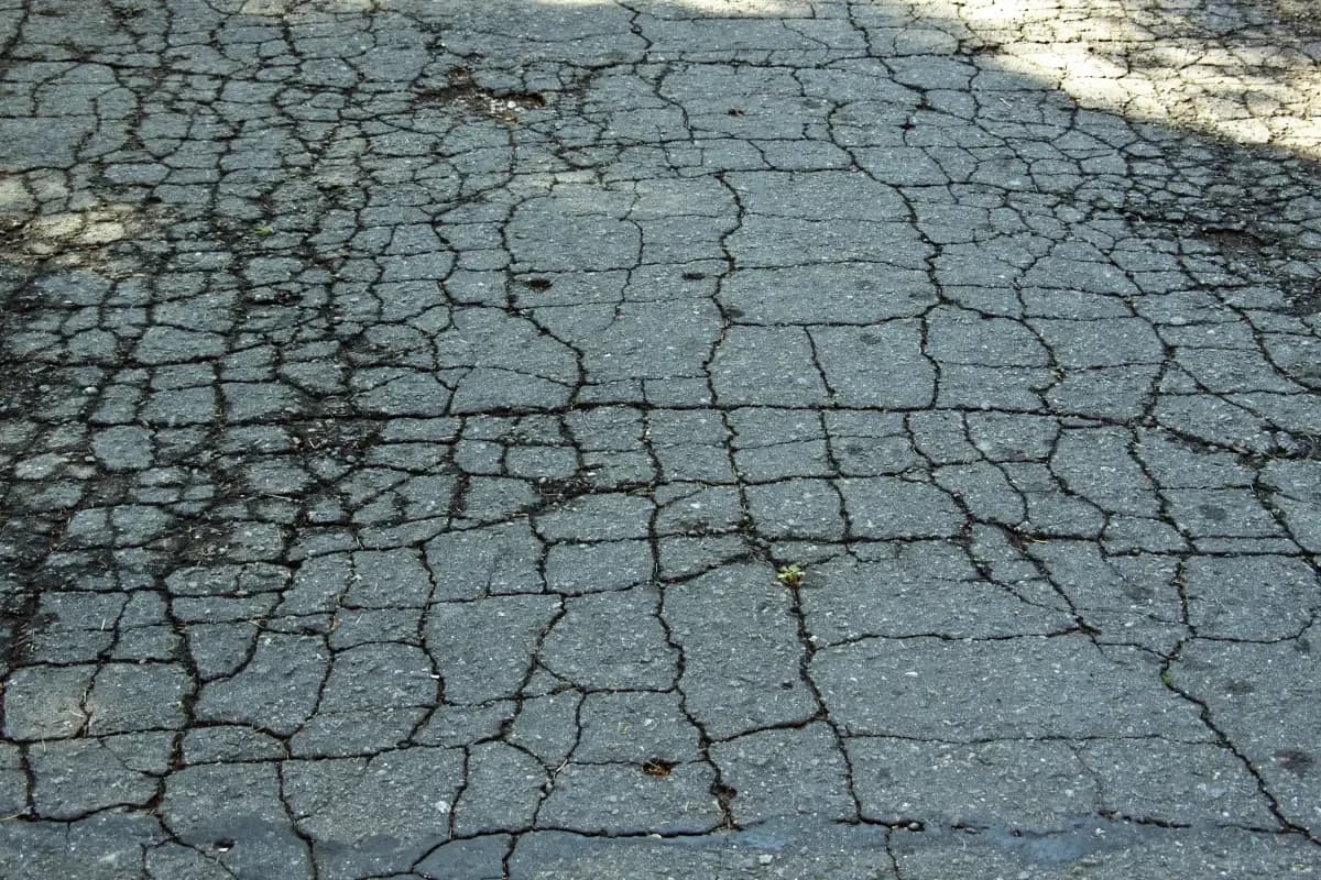 Interconnected alligator cracking across an asphalt surface, too far progressed for crack filling to help