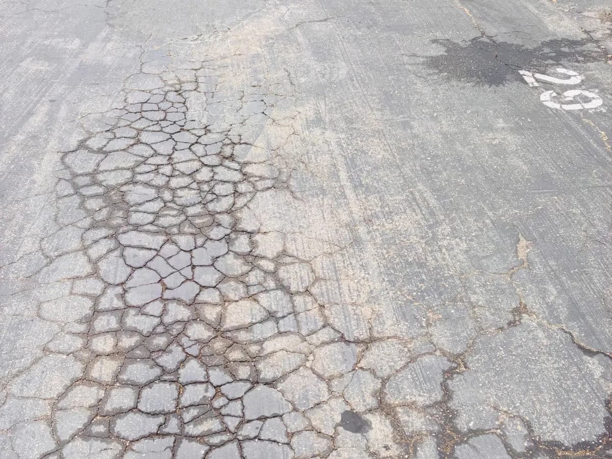 Alligator cracking spreading across a faded commercial parking lot beside worn stall markings