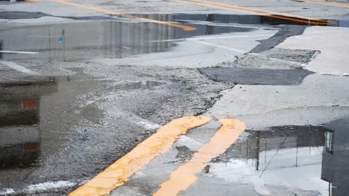 Standing water pooled near a parking lot drain inlet after rainfall.