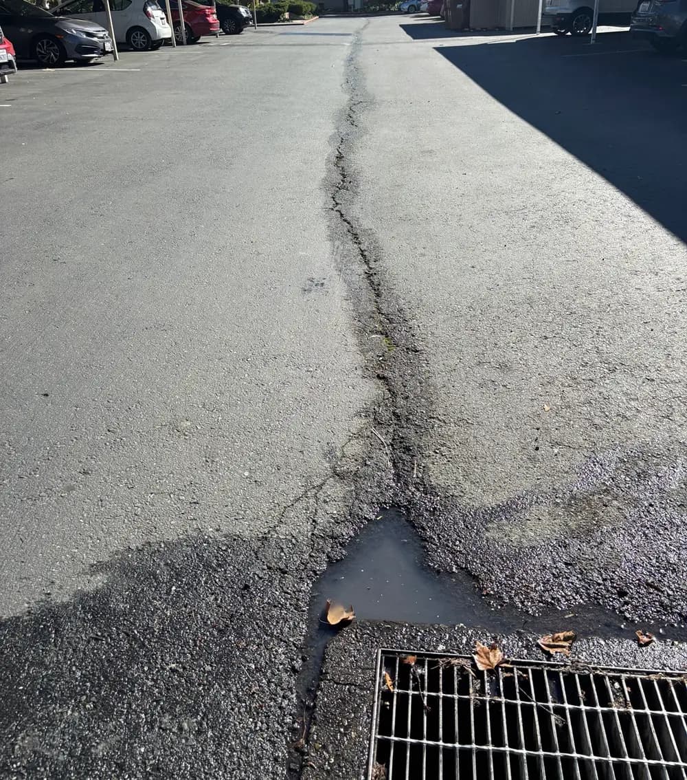 Crack in an asphalt drive aisle running downhill into a storm drain inlet, with water staining along its length