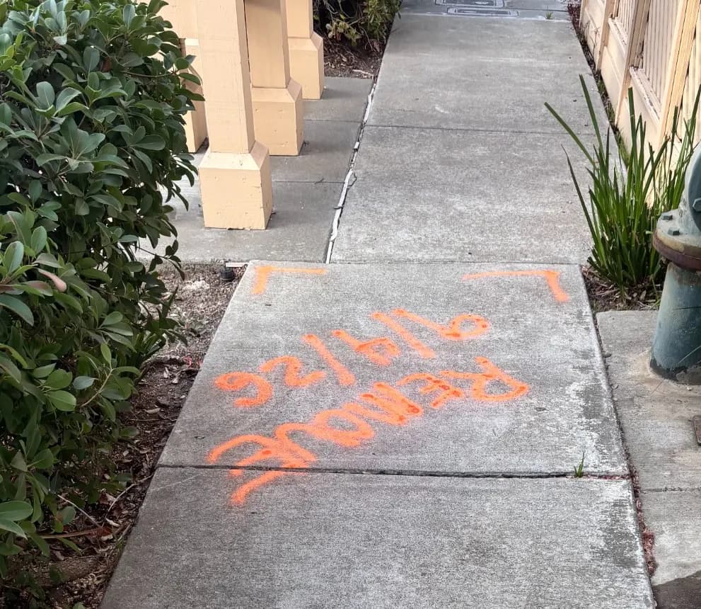 Sidewalk panel outlined in orange paint and marked for removal, with adjacent panels left in place