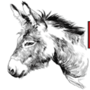 Ryals Brothers LLC logo