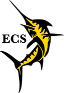 Emerald Coast Striping logo