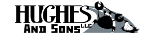 Hughes & Sons LLC logo