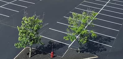 Paving work by Line Drive Pavement