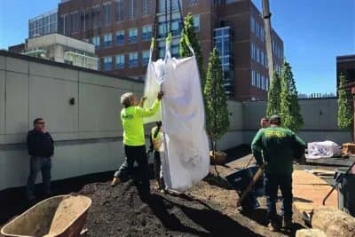 Paving work by Waverly Development