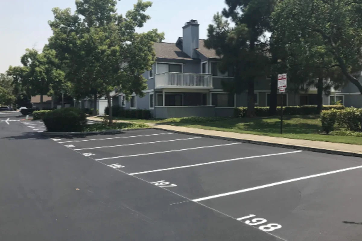 Freshly paved commercial asphalt driveway with a clean, uniform surface.